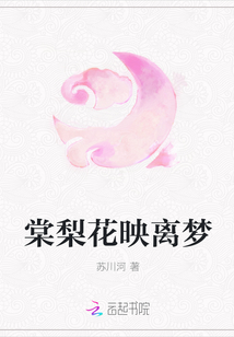棠梨花映离梦封面