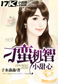 刁蛮机智小甜心封面