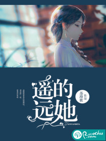 遥远的她封面