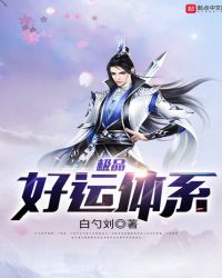 极品好运体系封面