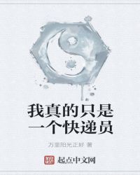 我真的只是一个快递员封面