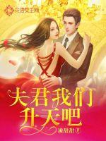 夫君我们升天吧封面