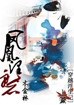 穿越浮生记上篇之凤凰涅磐封面