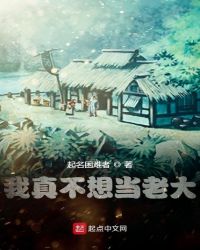 我真不想当老大封面
