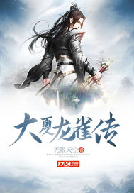 大夏龙雀传封面