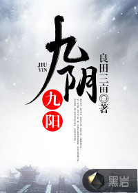 九阴九阳封面