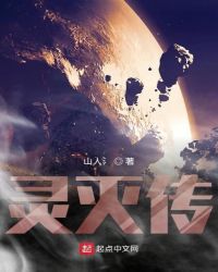 灵灭传封面