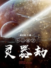 十二龙之灵器劫封面