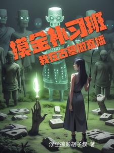 摸金补习班，我在古墓做直播封面