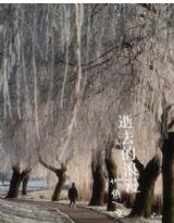 逝去的浪漫封面