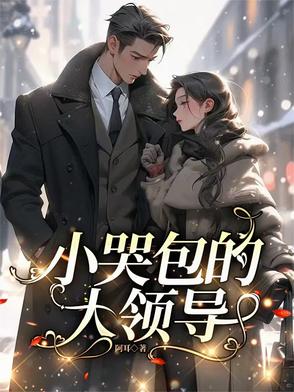 小哭包的大领导封面