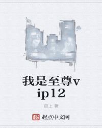 我是至尊vip封面