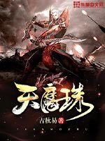 天魔珠封面