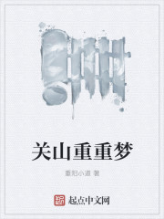 关山重重梦封面