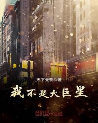 我不是大巨星封面