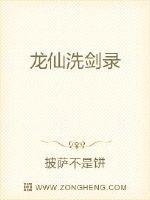 龙仙洗剑录封面