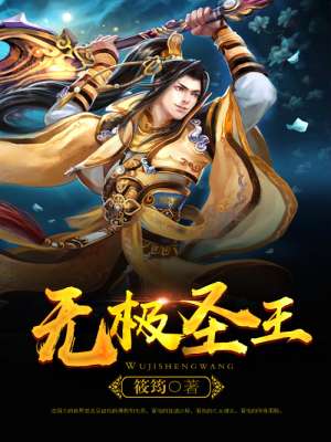 无极圣王封面