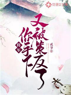 将军，你手下又被策反了！封面