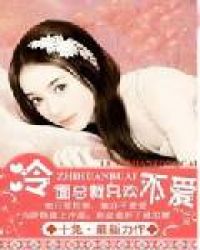 冷面总裁只欢不爱封面