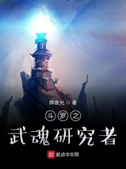 斗罗之武魂研究者封面