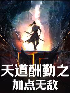 天道酬勤之加点无敌封面