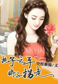 执子之手，将子拐走封面