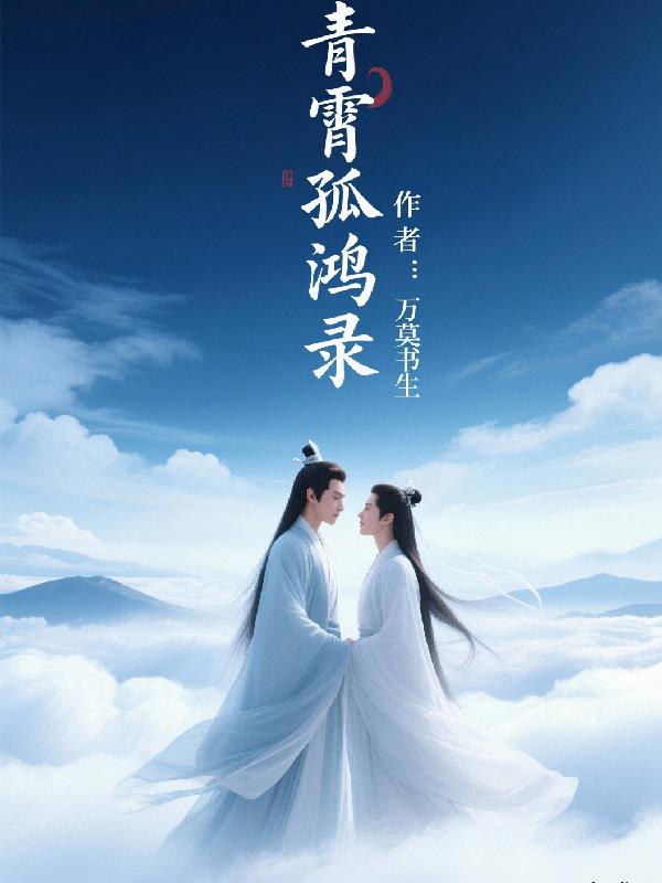 青霄孤鸿录封面