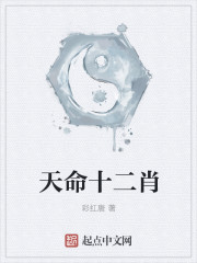 天命十二肖封面