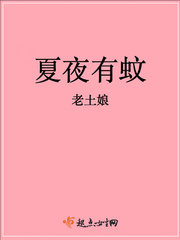 夏夜有蚊封面