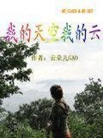 我的天空我的云封面