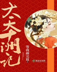 大天十洲记封面