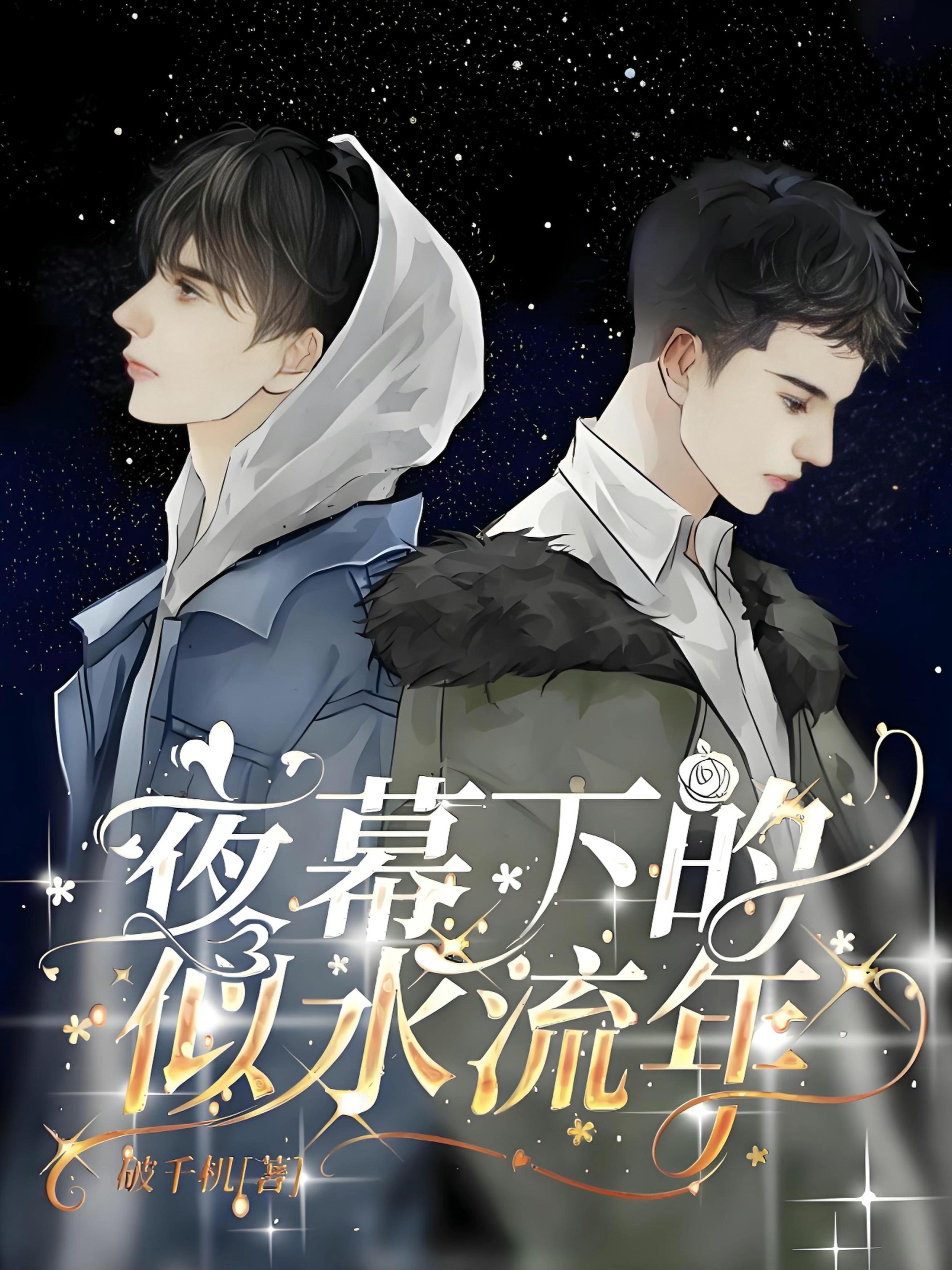 夜幕下的似水流年封面