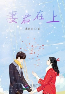 妻君在上封面