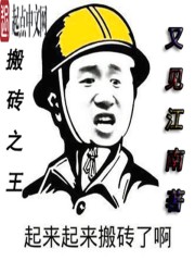 搬砖之王封面