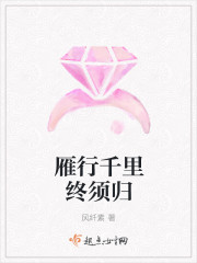 雁行千里终须归封面