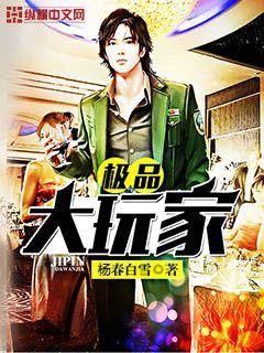 极品大玩家封面
