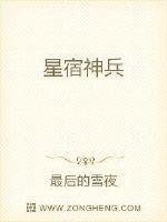星宿神兵封面