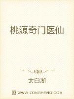 桃源奇门医仙封面