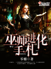 巫师进化手札封面