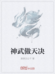 神武傲天决封面