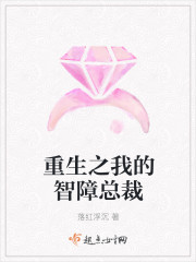 重生之我的智障总裁封面