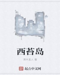 西苔岛封面