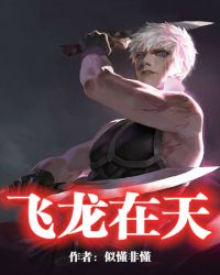 飞龙在天封面