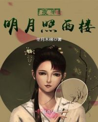夜半明月照西楼封面
