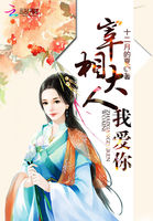 宰相大人我爱你封面