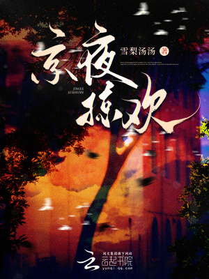 京夜掠欢封面