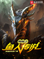 海贼之鱼人传说封面