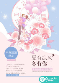 夏有凉风冬有你封面