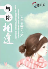 与你相逢封面