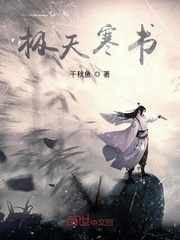 极天寒书封面